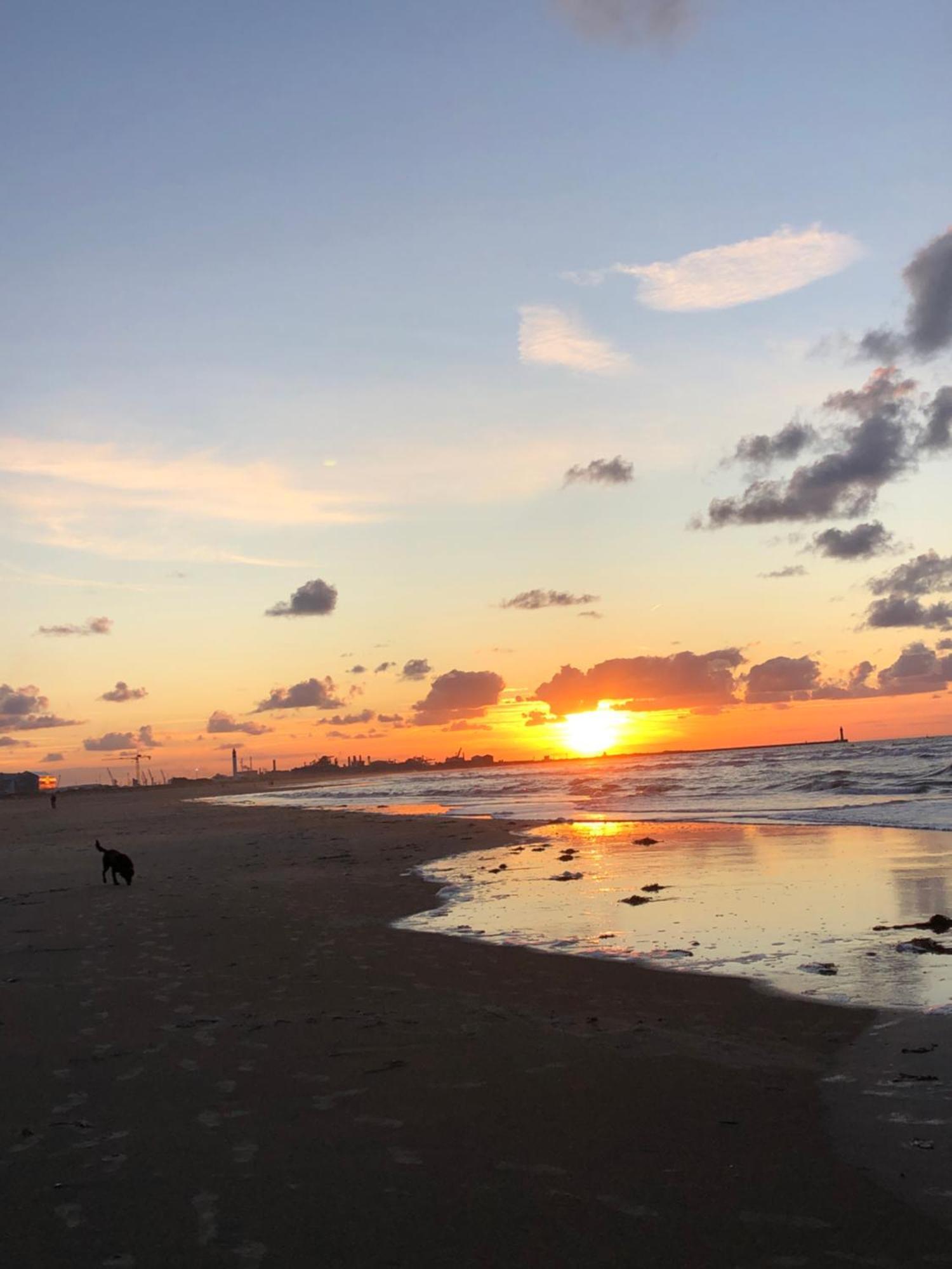 Appartement Sur La Plage De Malo Les Bains Vue Mer 됭케르크 외부 사진